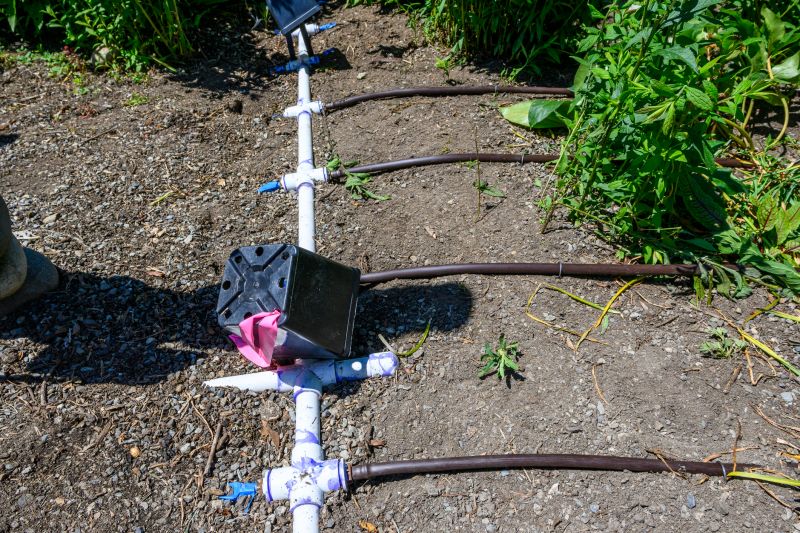 Drip Irrigation Installation in Aiken, SC