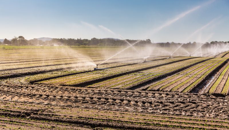 Farm Irrigation Installation in Ventura County, CA