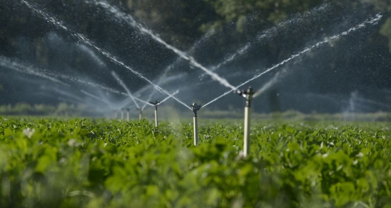 Field Irrigation Installation in Honolulu, HI