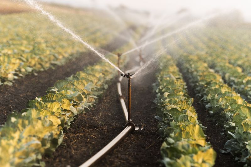 Field Irrigation Installation in Aiken, SC