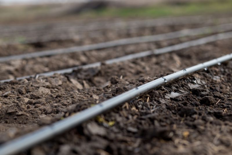 Irrigation Installation in Honolulu, HI