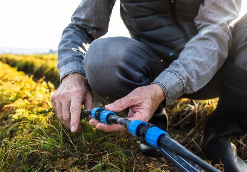 Irrigation System Replacement in Honolulu, HI