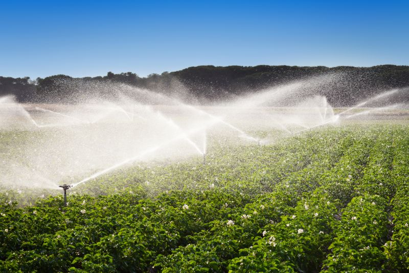 Field Irrigation Installation in Ventura County, CA