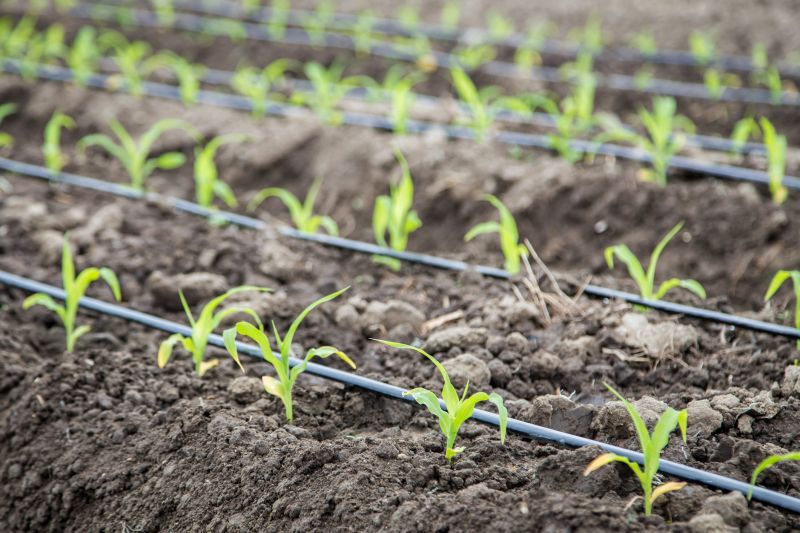 Field Irrigation Installation in Honolulu, HI